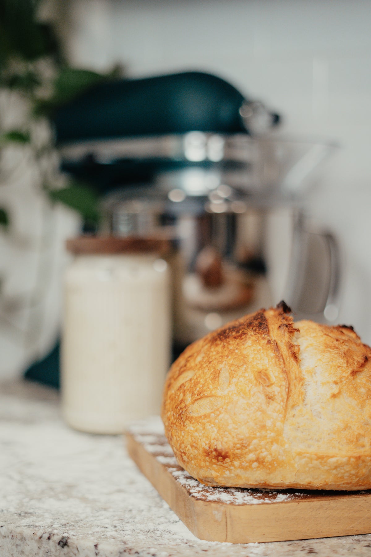 Sourdough Receipe